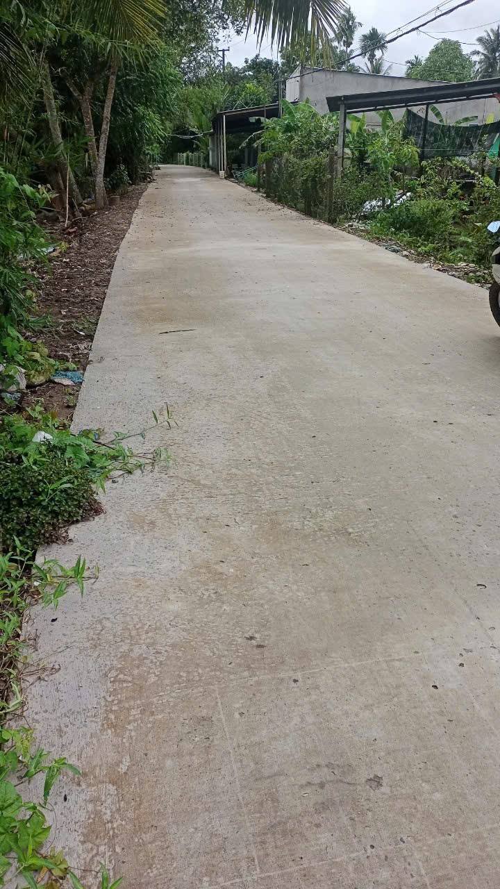 Đất nền Long Hòa, Bình Thủy 224m² giá 1.1 tỷ - Cơ hội đầu tư tuyệt vời!