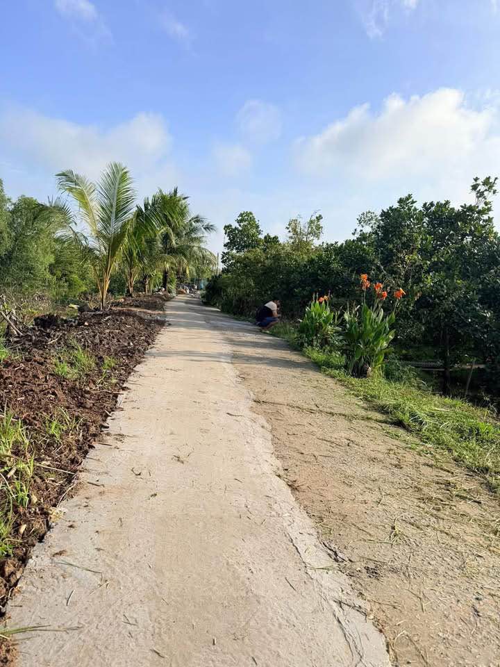 Đất thổ cư 139m² tại Mỹ Thuận, Vĩnh Long chỉ 300 triệu - Cơ hội đầu tư tuyệt vời!