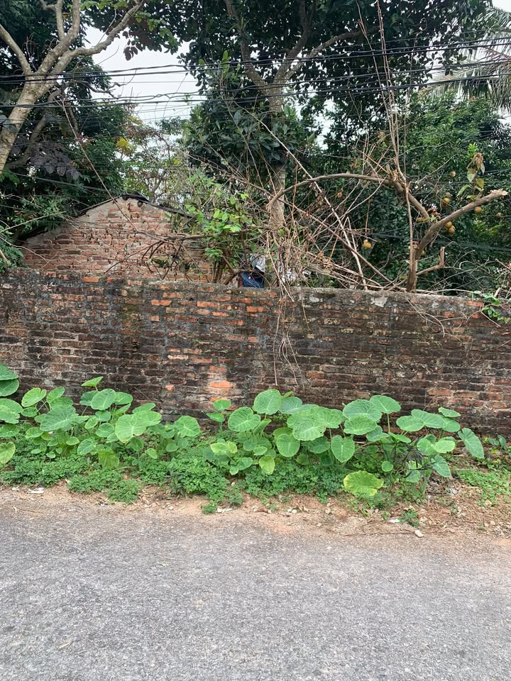 Đất nền Lan Mẫu Lục Nam 127m² giá 1 tỷ - Sở hữu ngay vị trí đắc địa gần KCN!