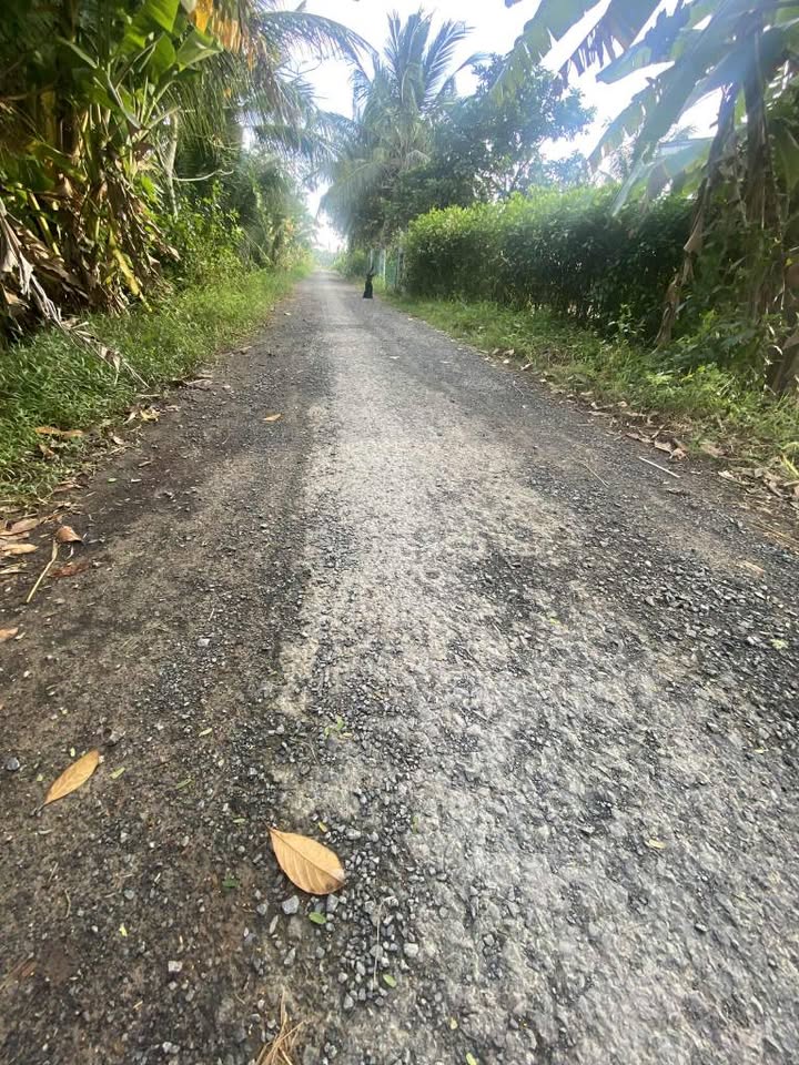 Đất thổ cư 250m² tại Hòa Lạc C, Trà Vinh - Giá chỉ 230 triệu, thương lượng linh hoạt!