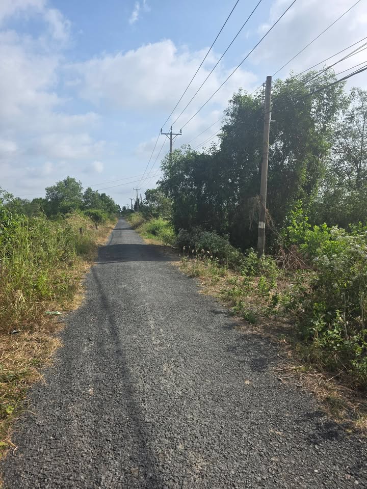 Đất nền 18146m² tại xã Long Hữu, Vĩnh Long - Cơ hội đầu tư hấp dẫn!