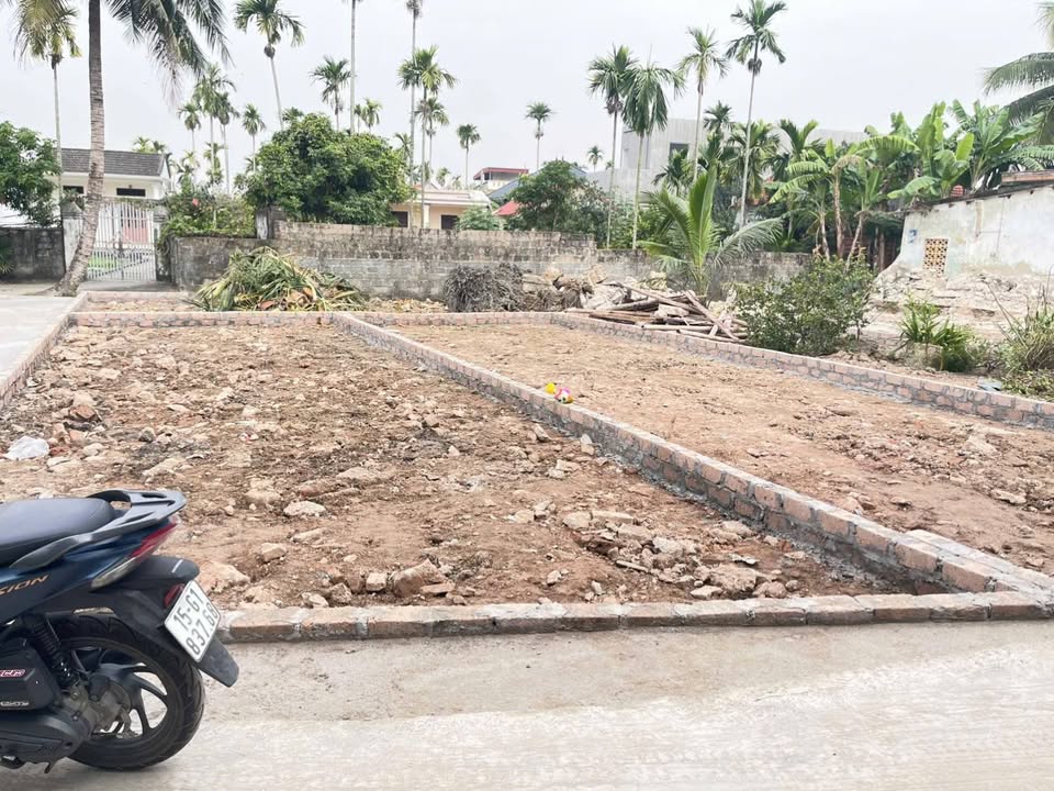 Bán gấp bất động sản tại Fo Thiên Hương, Thủy Nguyên - Diện tích 64m² giá chỉ từ 1.3 tỷ!