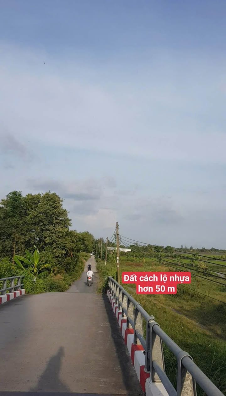 Đất Farm Mỹ Thạnh An Giang 130.000m² giá 3.25 tỷ - Cơ hội đầu tư sinh lời!