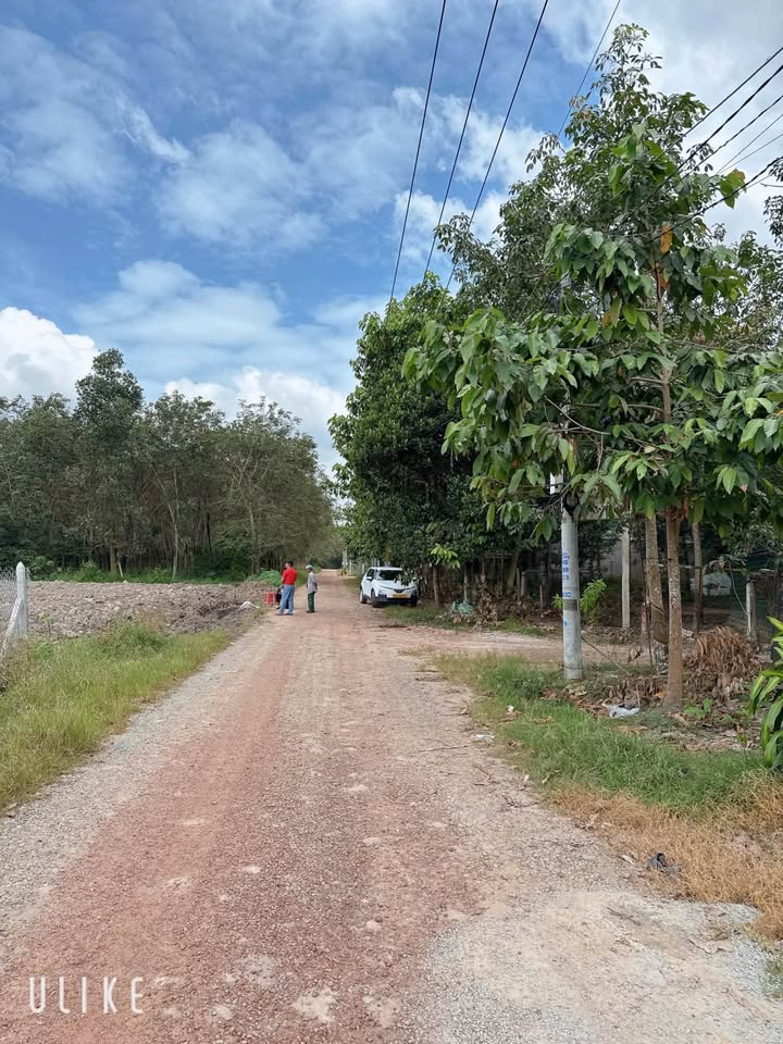 Đất 5800m² Long Nguyên, Bàu Bàng - Giá rẻ, đầu tư sinh lời cao!