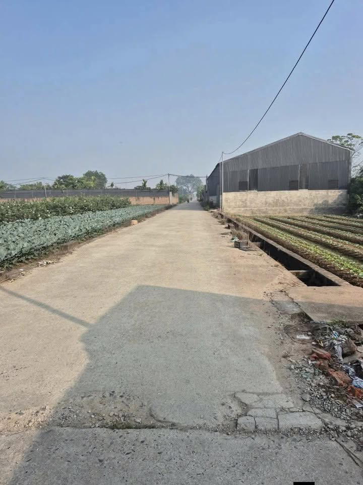 Bán đất 336m² tại Song Phương, Hoài Đức - Giá tốt nhất khu vực!