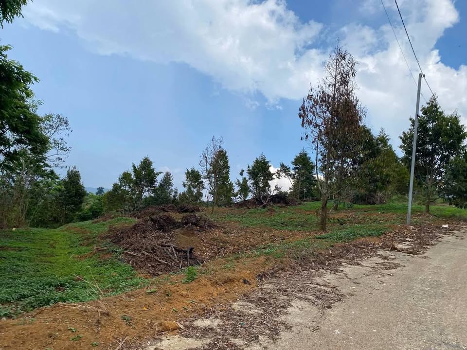 Đất nền hẻm Phan Huy Ích, Bảo Lộc 2700m² giá 5 tỷ - Đầu tư sinh lời hấp dẫn!