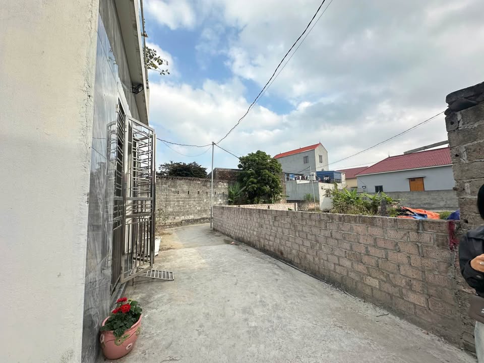 Đất nền xã Đại Bản, huyện An Dương, Hải Phòng 81.6m² giá 1.15 tỷ - Cơ hội đầu tư hấp dẫn!