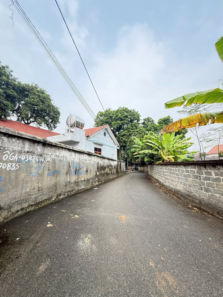 Đất nền Tam Nông, Phú Thọ 101.2m² giá 700 triệu - Cơ hội đầu tư sinh lời cao!