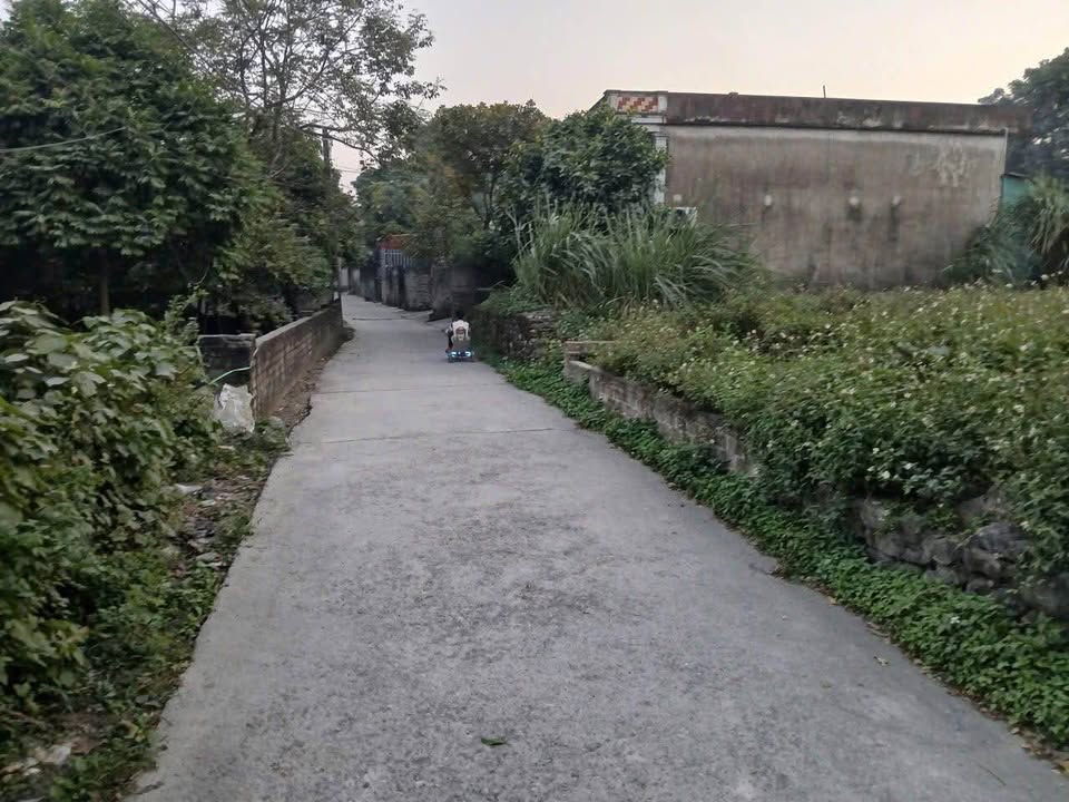 Đất nền Lý Thường Kiệt Ninh Bình 81m² giá 700 triệu - Đường ô tô vào tận đất!