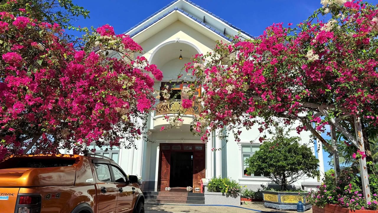 Biệt phủ mặt tiền Lê Duẩn Đất Đỏ 6700m² giá 60 tỷ - Sẵn sàng giao dịch ngay!