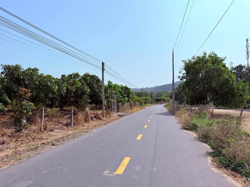 Đất vườn Phước Hải - Long Điền 588m² giá chỉ 2.5 tỷ - Tiềm năng đầu tư lớn!