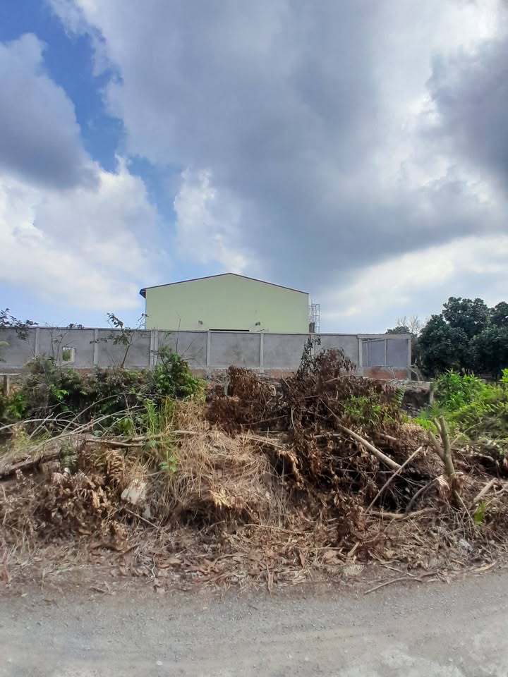 Đất thổ cư 12.500m² mặt tiền TL.867, xã Tân Phước - Cơ hội đầu tư hấp dẫn!