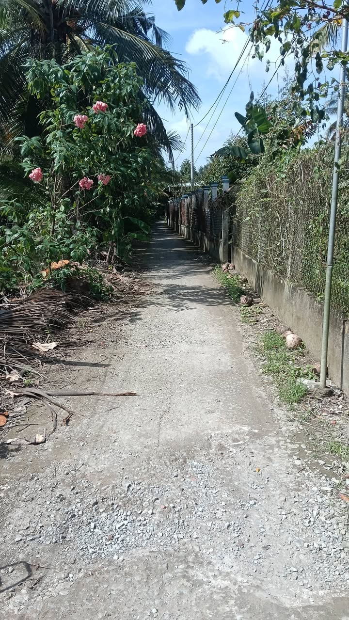 Đất nền Tân Hội Cai Lậy 80m² giá 235 triệu - Cơ hội đầu tư hấp dẫn!