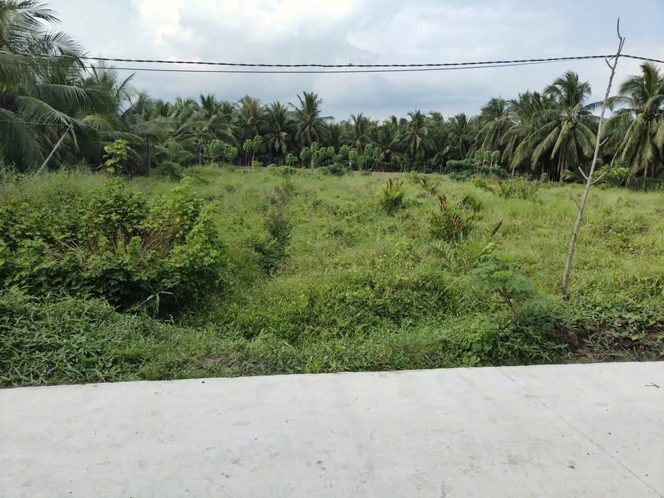 Đất phân lô đầu tư Xã Bình Ninh 1641m² giá 1.8 tỷ - Cơ hội vàng cho nhà đầu tư!