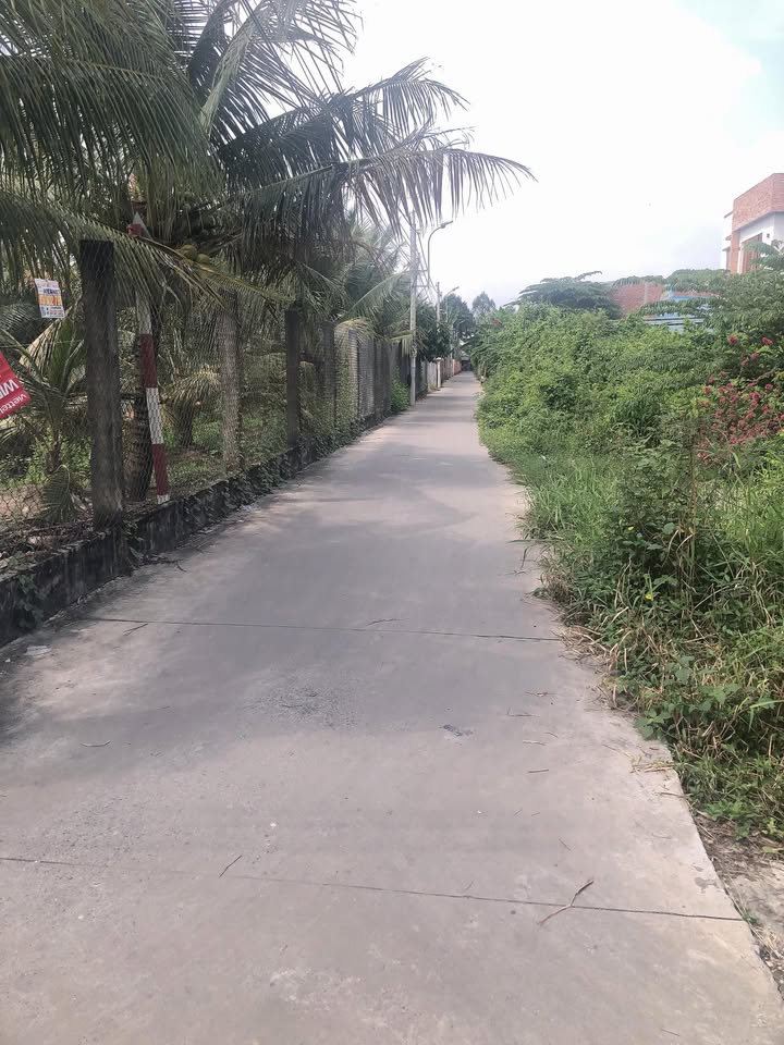 Đất nền 1000m² tại xã Tân Mỹ Chánh, TP Mỹ Tho - Sổ đỏ chính chủ, giá 2 tỷ!