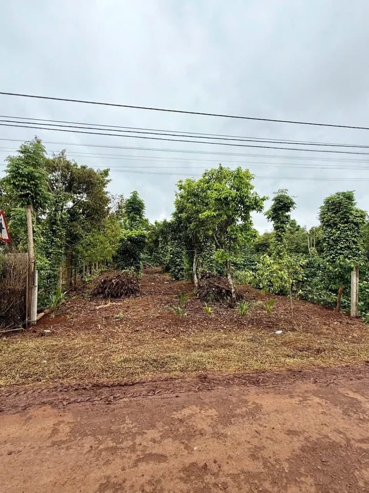 Đất nền Trần Cảnh, An Lạc, Buôn Hồ 280m² giá 2.15 tỷ - Pháp lý rõ ràng, thương lượng chính chủ!