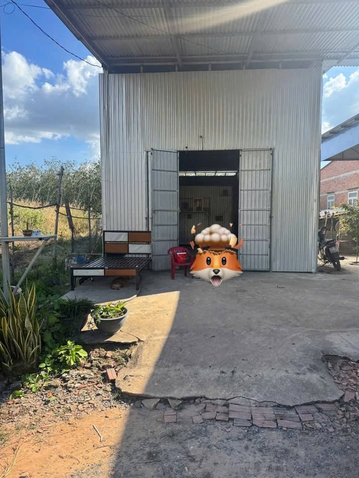 Đất thổ cư 216m² tại Thạnh Tây, Tân Biên chỉ 300 triệu - Đầu tư sinh lời!