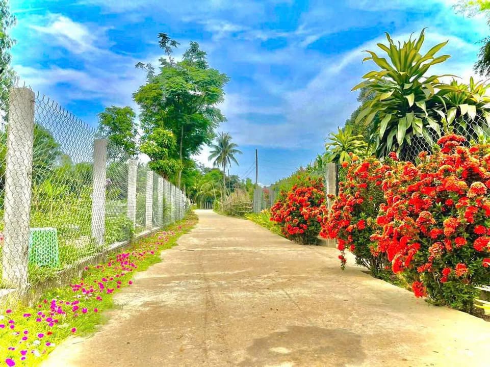 Đất nền Hòa Nhơn 270m² giá 1.7 tỷ - Đường nhựa 2 mặt tiền