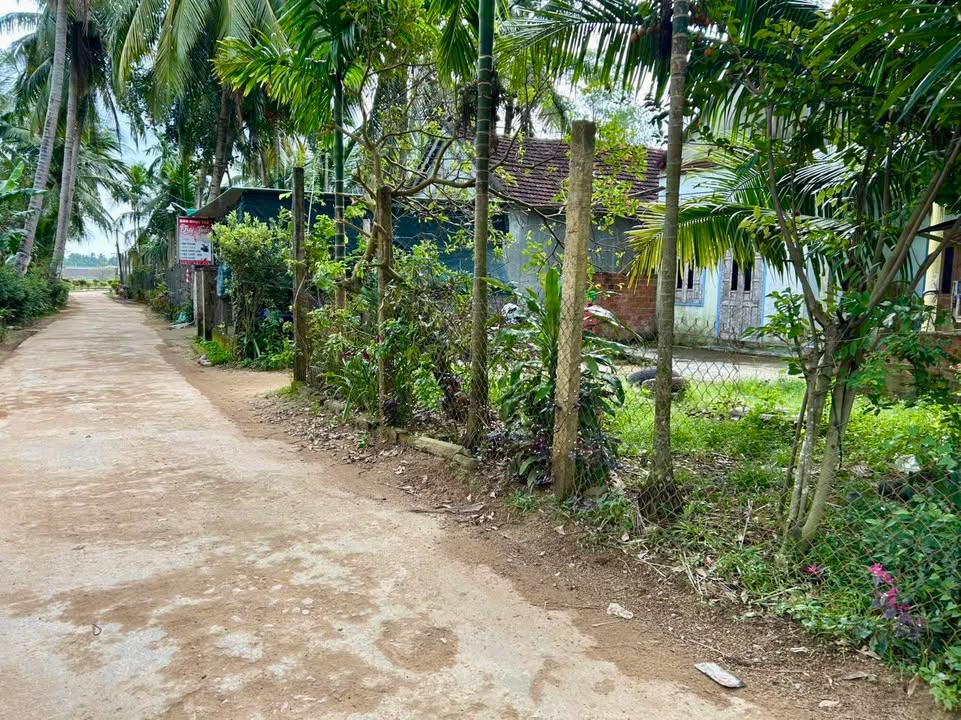 Nhà cấp 4 kèm đất 140m² tại khu dân cư Hoài Hảo - Giá chỉ 400 triệu!