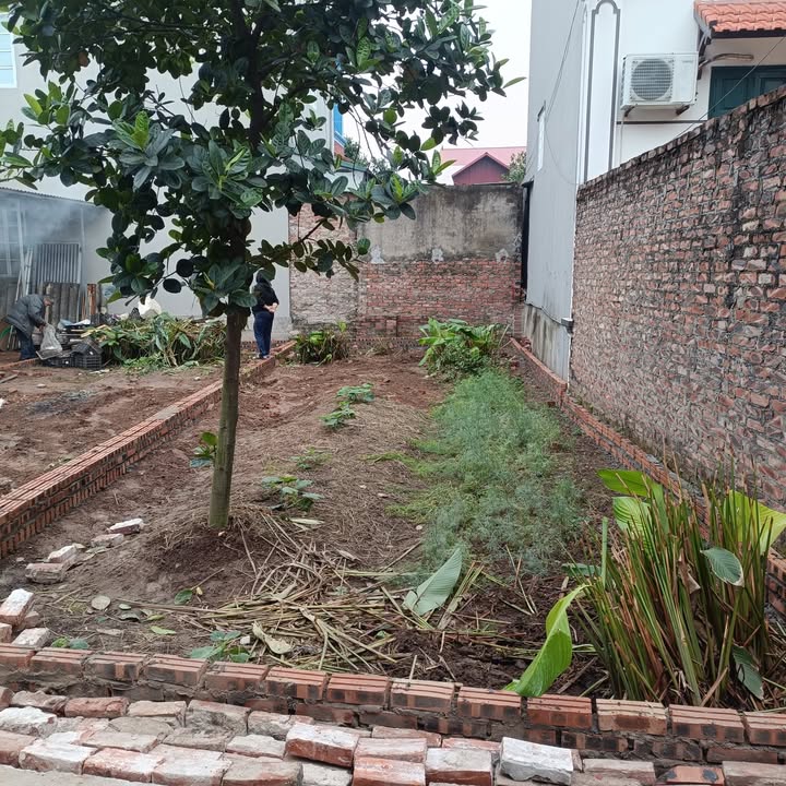 Đất nền khu phố Doãn Thượng, Xuân Lâm 60m² giá chỉ 2 tỷ - Nhanh tay sở hữu!