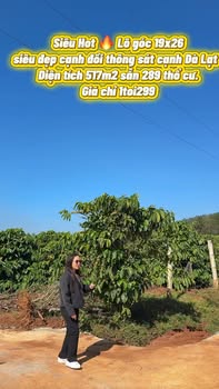 Đất nền Mê Linh Lâm Đồng 517m² giá 1.299 tỷ - Lô góc đẹp, gần Đà Lạt!