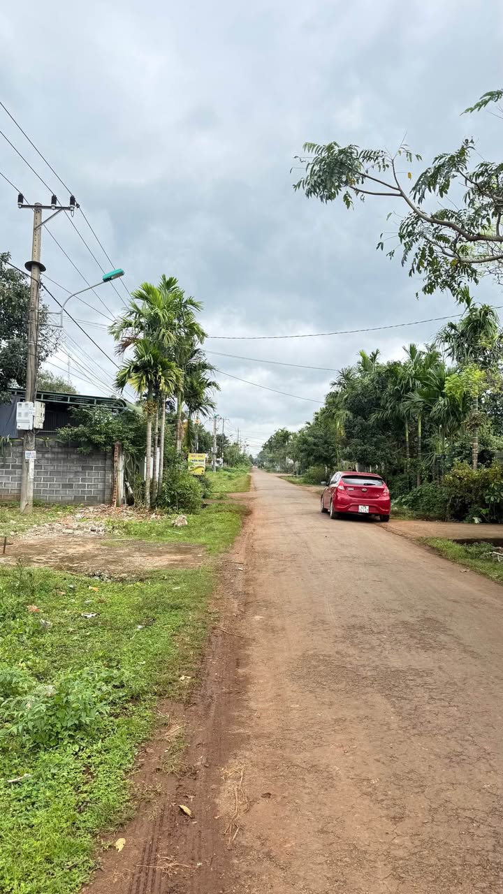 Đất ở mặt tiền N6, Tân An, Buôn Ma Thuột 1000m² giá chỉ 5,25 tỷ - Cơ hội đầu tư hấp dẫn!