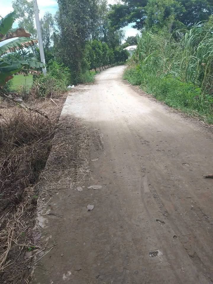 Đất thổ cư Tân Phú, Thanh Bình 16.658m² - Giá hấp dẫn, thương lượng tốt!