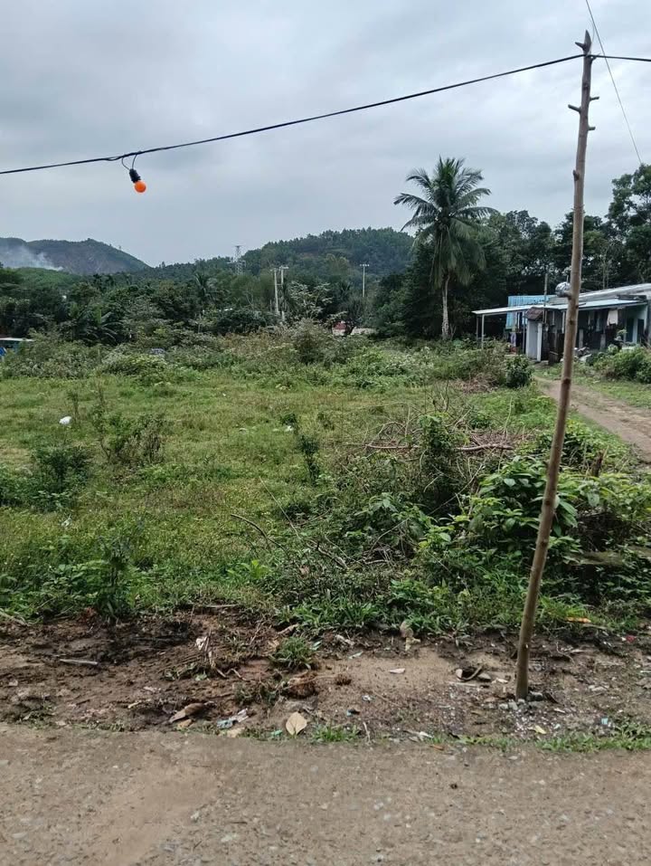 Đất nền Hòa Khánh Đà Nẵng 280m² giá 1 tỷ - Sổ hồng đầy đủ, giao thông thuận tiện!