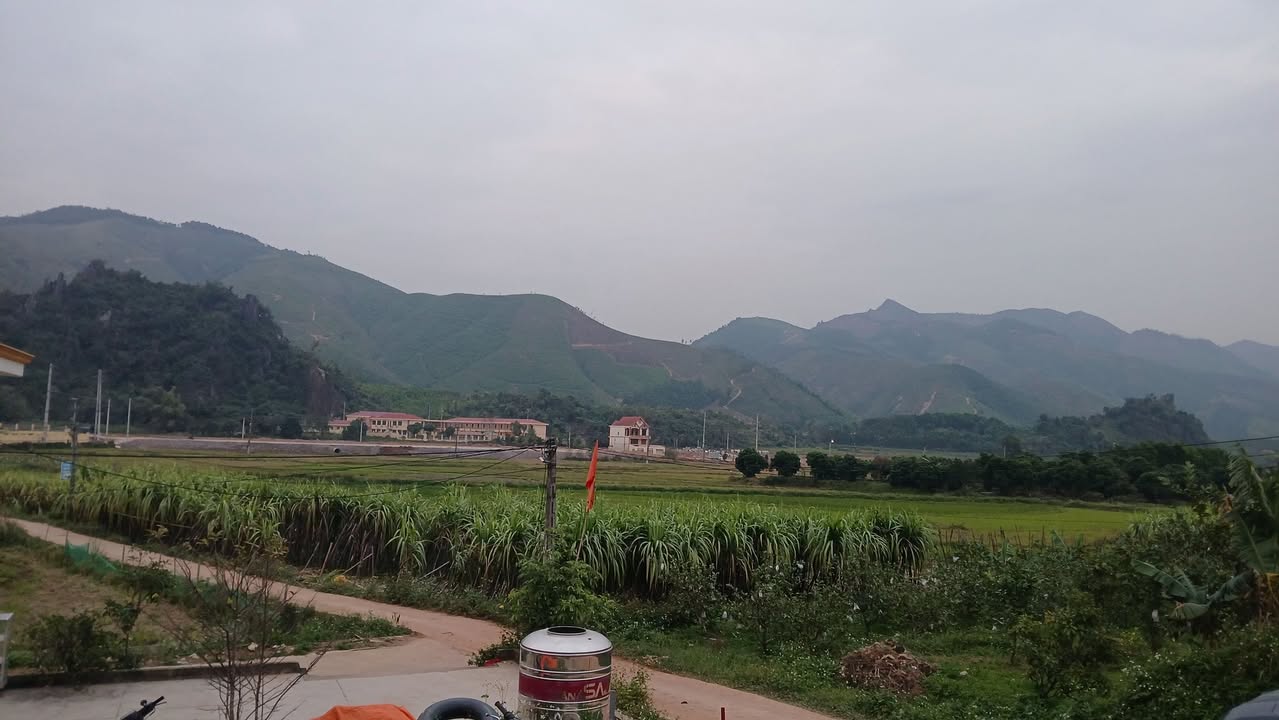 Đất nông nghiệp Hoành Bồ 2000m² giá 850 triệu - Cơ hội đầu tư tuyệt vời!