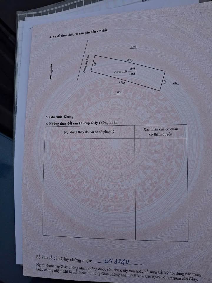 Đất nền Phố 6 Quảng Cát 165m² giá 1 tỷ - Kinh doanh thuận lợi!