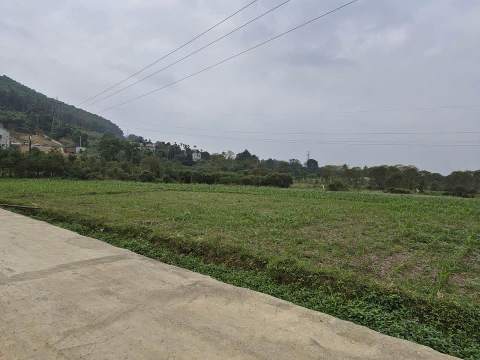 Đất thổ cư thôn Cua Chu, Tản Lĩnh 1100m² - Cơ hội đầu tư hấp dẫn!