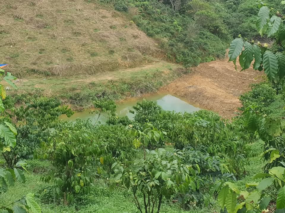 Đất vườn Lộc Bắc Bảo Lâm 5,4 sào giá 1,35 tỷ - Cơ hội đầu tư hấp dẫn!