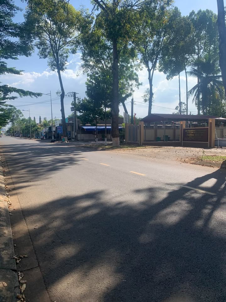 Đất nền mặt tiền đường nhựa Bình Lộc, Long Khánh 160m² chỉ 400 triệu - Cơ hội hiếm có!