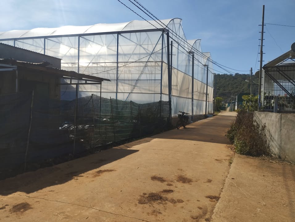 Đất nền Hiệp Thạnh, Đức Trọng 1659m² giá 4 tỷ - Đầu tư sinh lời hấp dẫn!