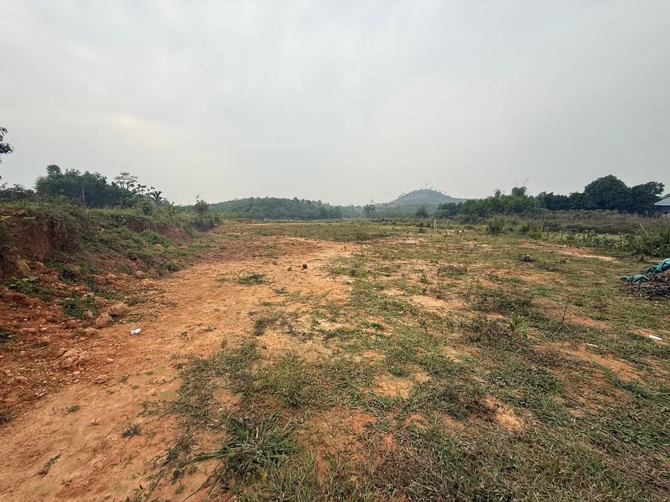 Đất Farm Đắc Sơn Phổ Yên 1007m² giá 2 tỷ - Không gian yên tĩnh lý tưởng!