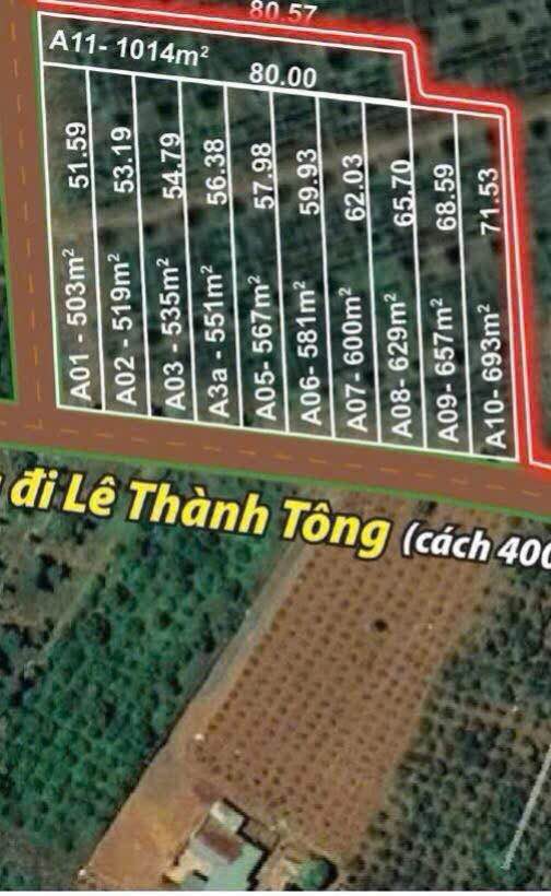 Khu Vườn Nhỏ Tại Đồi Mộng Mơ Gia Nghĩa 500m² giá chỉ 265 triệu - Đầu tư sinh lời hấp dẫn!