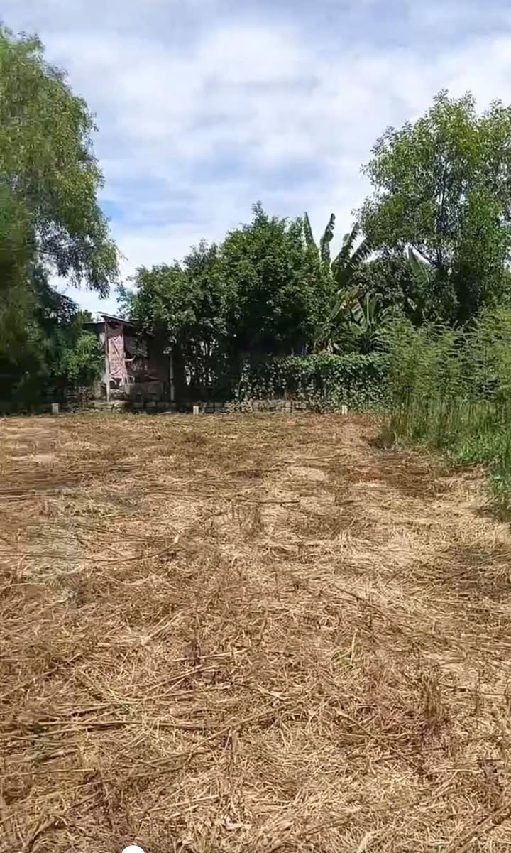 Kho xưởng cho thuê tại xã Suối Hiệp, Diên Khánh 114m² - Giá thỏa thuận hấp dẫn!