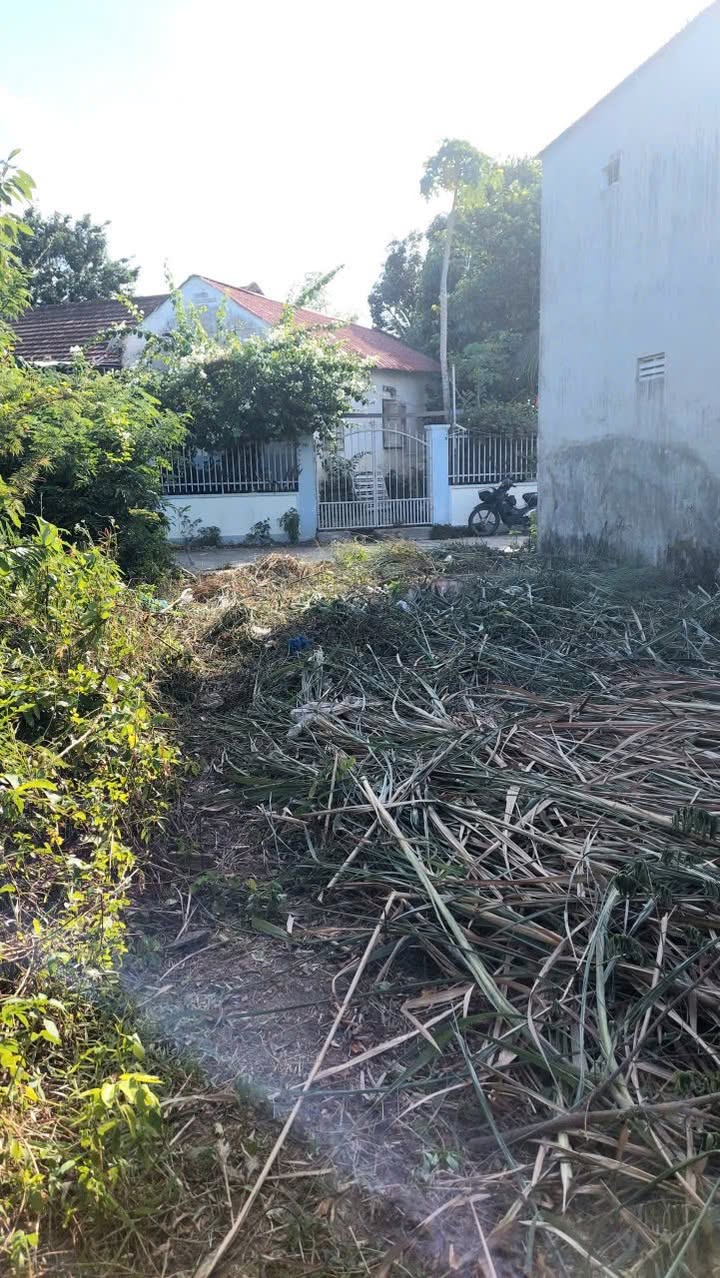 Lô đất nền Diên An 116,9m² giá chỉ 18 triệu/m² - Đầu tư sinh lời ngay!