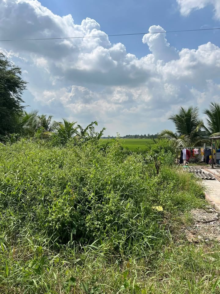 Đất mặt tiền lộ ô tô 3100m² tại ấp 36, xã Minh Diệu - Cơ hội đầu tư sinh lời!