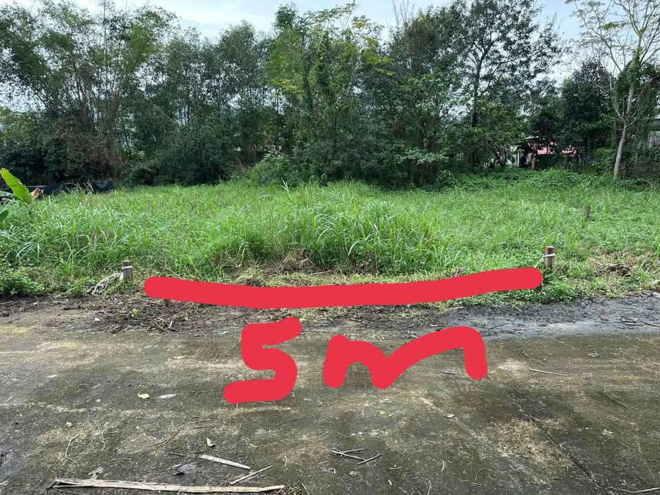 Đất nền đô thị Phú Thượng, Đà Nẵng 140m² giá 1.45 tỷ - Vị trí không ngập lụt, gần trường và chợ!