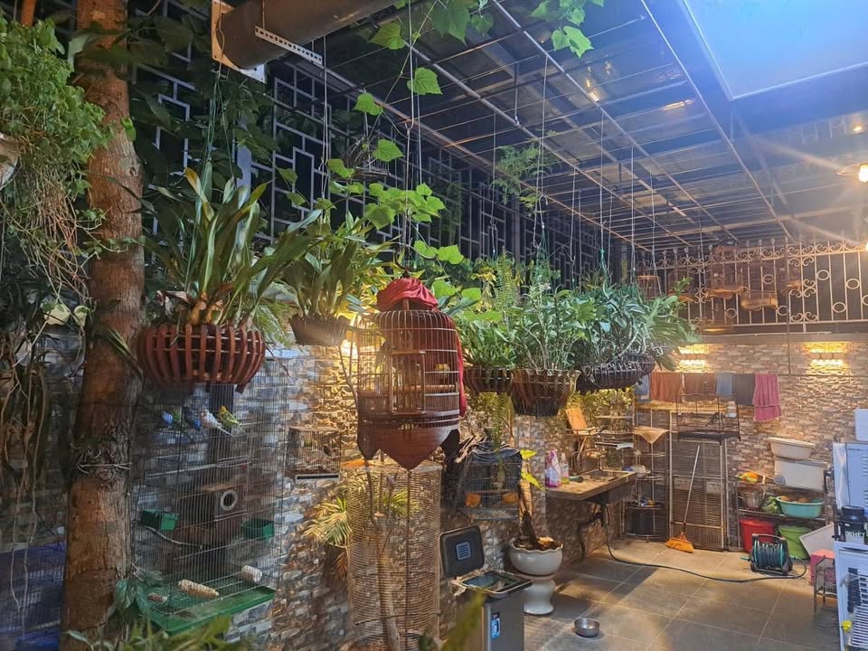 Biệt thự song lập An Khang Villa Hà Đông 198m² giá thỏa thuận - View thoáng vườn hoa