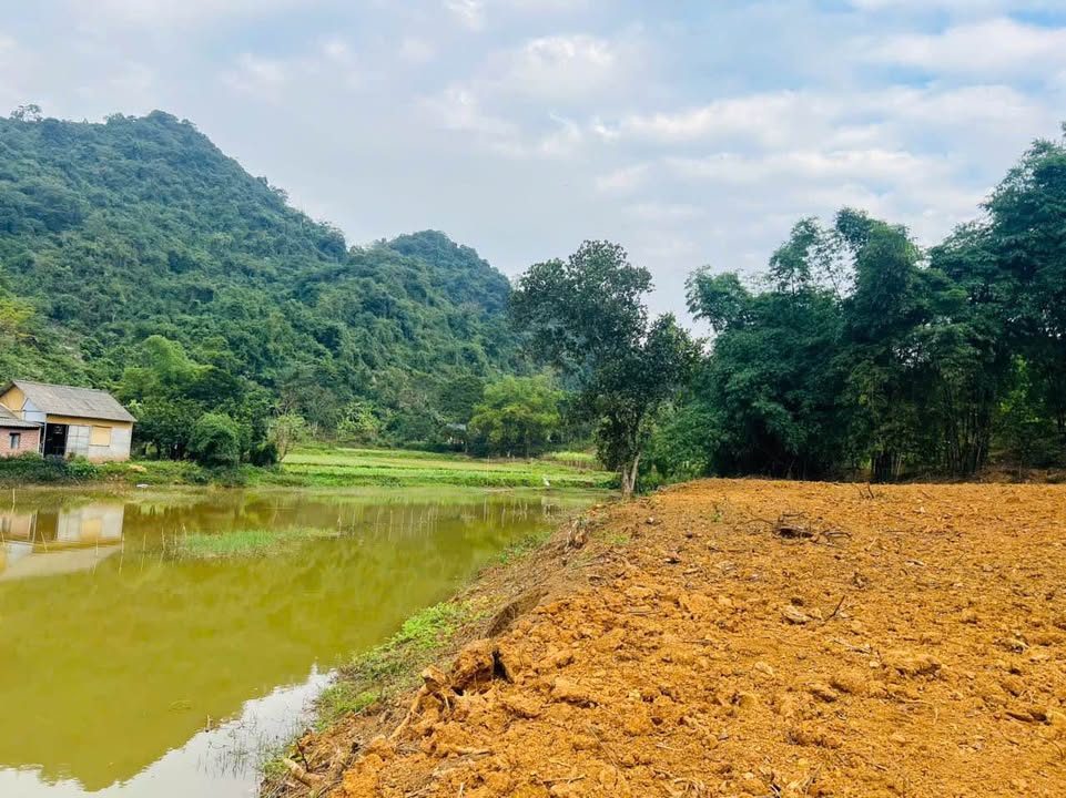 Đất thổ cư 1300m² Bình Chân, Lạc Sơn, Hòa Bình - Giá chỉ 650 triệu