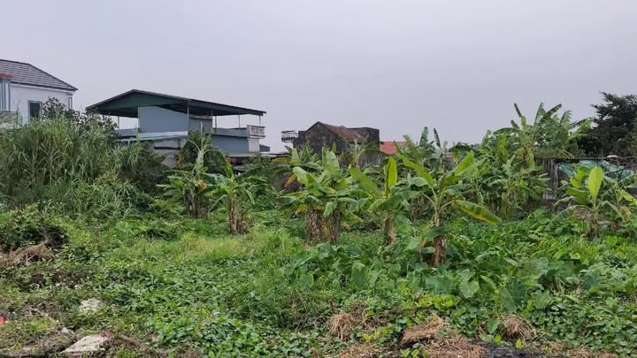 Đất nền Tân Việt, Bình Giang 180m² giá 900 triệu - Cơ hội đầu tư hấp dẫn!