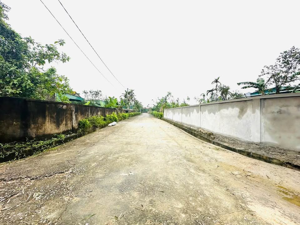 Đất nền Thôn Bắc Thai, Thạch Hội 574m² giá 1 tỷ - Đầu tư sinh lời ngay!