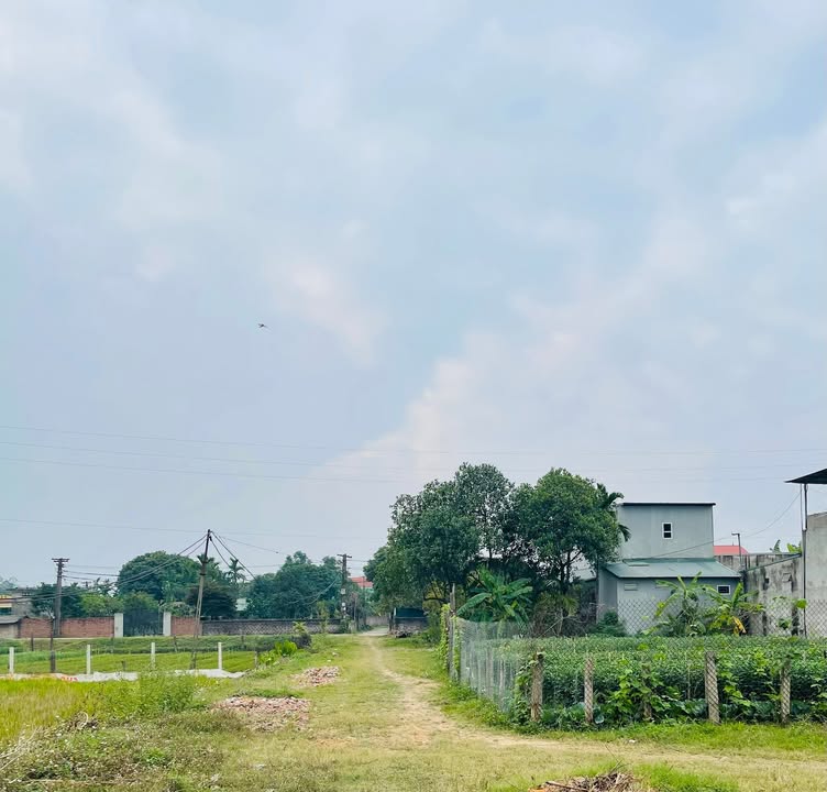 Đất nền 2 mặt tiền khu Đồng Đỗi, xã Phùng Nguyên, 165m² - Cơ hội đầu tư tuyệt vời!