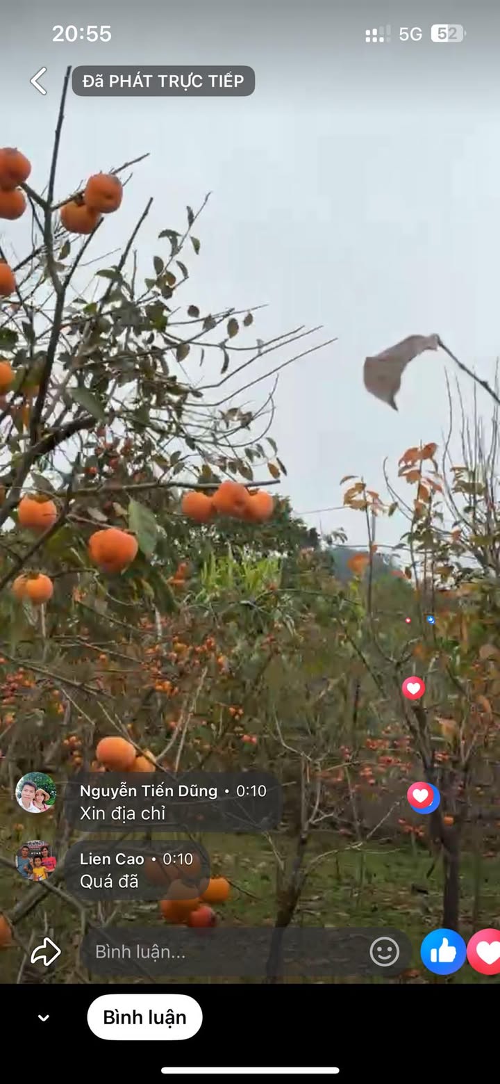 Đất nền Thiệu Trung, Thanh Hóa 100m² giá chỉ 2 tỷ - Cơ hội đầu tư hấp dẫn!