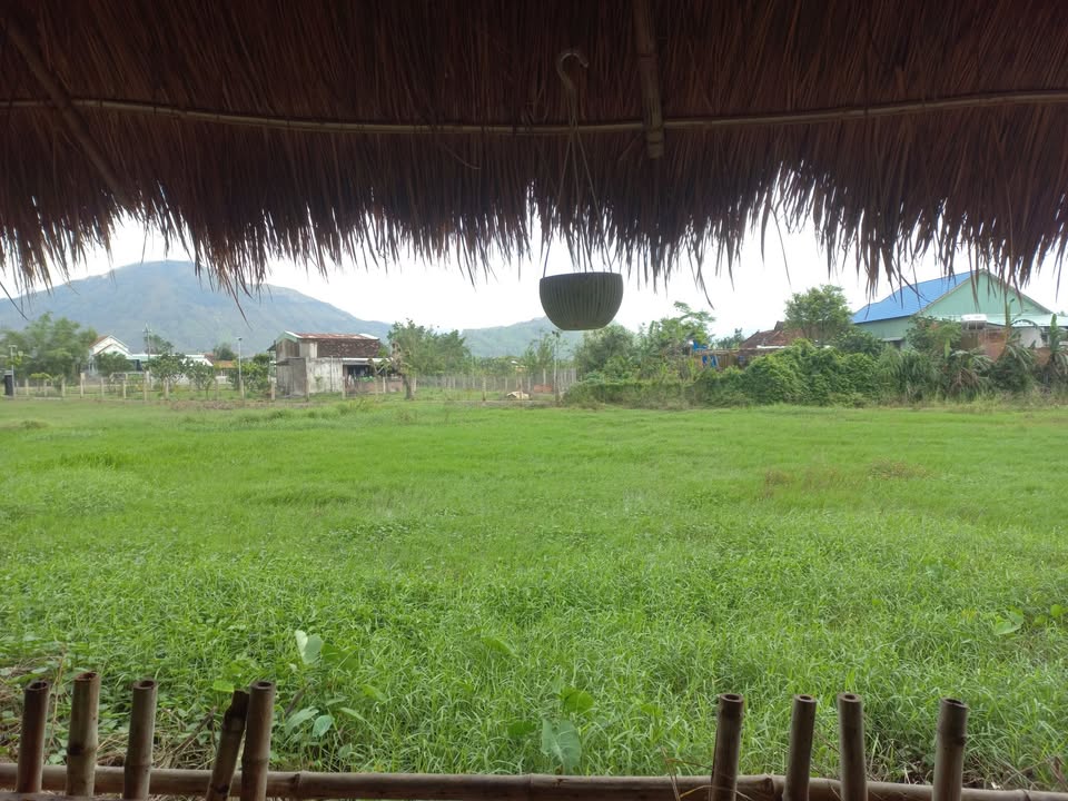 Đất nền mặt tiền đường bê tông xã Phước Thành, huyện Tuy Phước 3000m² - Giá chỉ 40 triệu!