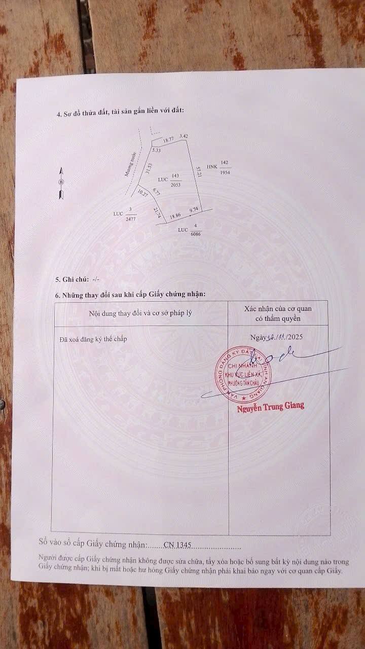 Đất lúa 2 công tại Tân An, An Giang - Giá chỉ 205 triệu - Đầu tư sinh lời ngay!