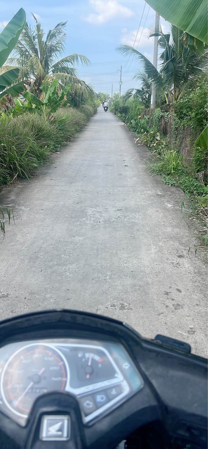 Đất lúa 992m² xã Vĩnh Công, Châu Thành, Long An - Giá 1.248 tỷ, Sổ hồng chính chủ!