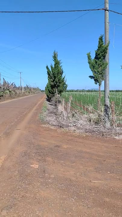 Đất rẫy 22 ha Bờ Ngoong, Gia Lai giá 69 tỷ - Cơ hội đầu tư hấp dẫn!